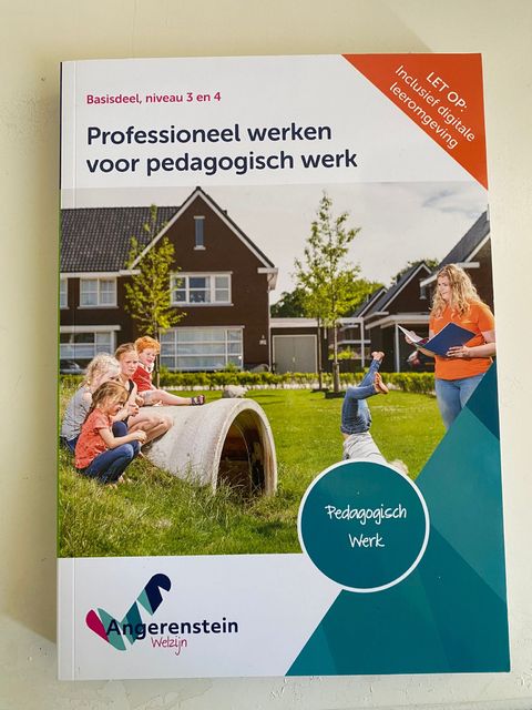 9789037244069-Professioneel-werken-voor-pedagogisch-werk-Basisdeel