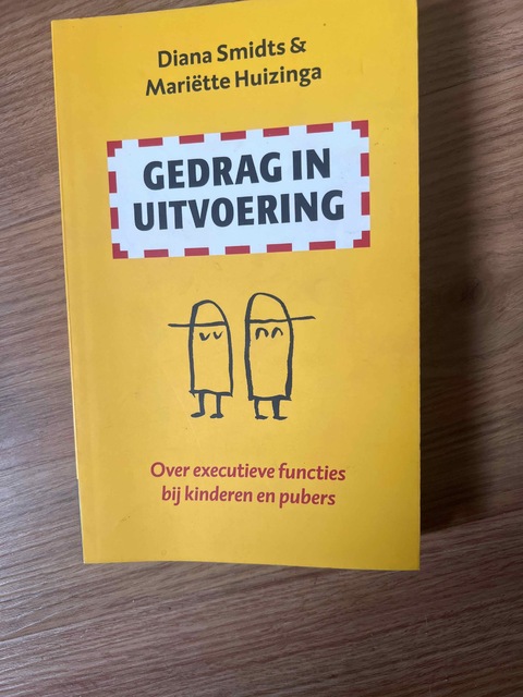 9789057123177-Gedrag-in-uitvoering