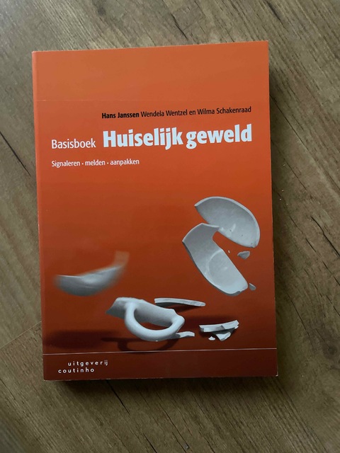 9789046906576-Basisboek-huiselijk-geweld