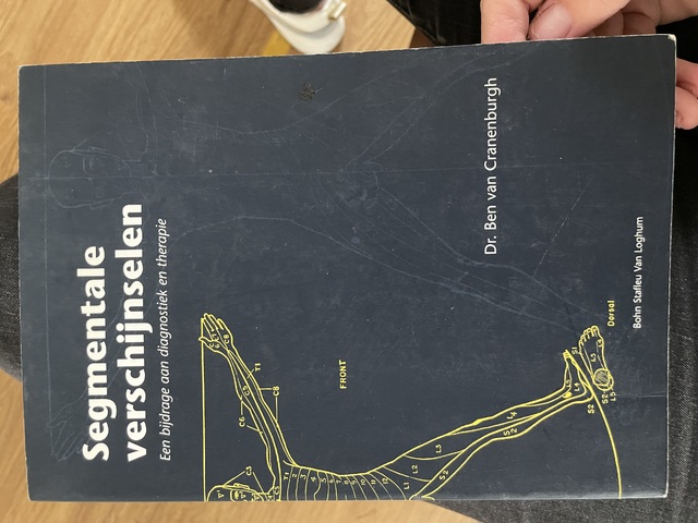 9789031343188-Segmentale-verschijnselen