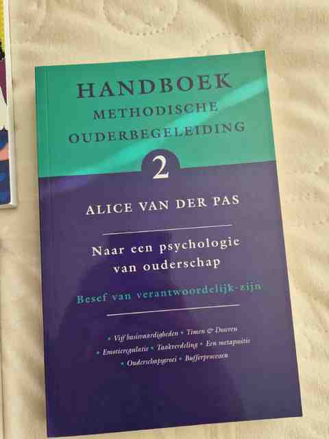 9789066657816-Handboek-Methodische-Ouderbegeleiding-2-naar-een-psychologie-van-ouderschap