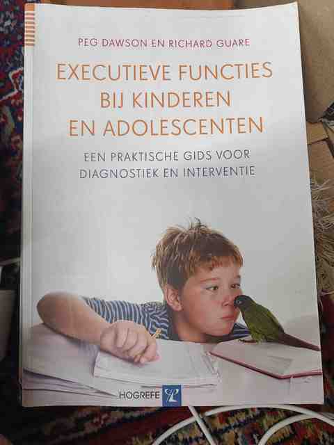 9789079729197-Executieve-functies-bij-kinderen-en-adolescenten