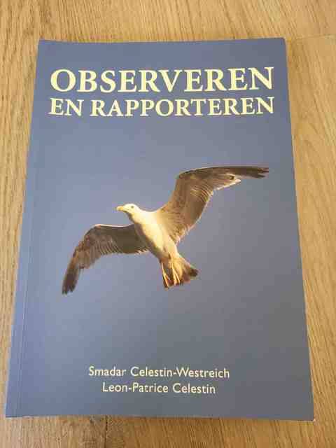 9789043012997-Observeren-en-rapporteren