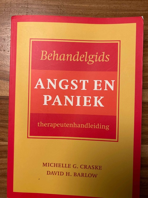 9789057123627-Behandelgids-angst-en-paniek