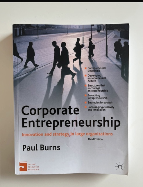 9780230304031-Corporate-Entrepreneurship