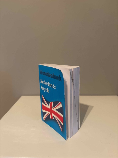 9789049102999-Woordenboek-Nederlands-Engels