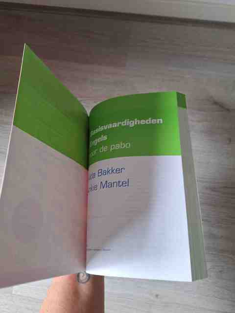 9789001817251-Basisvaardigheden-Engels-voor-de-Pabo