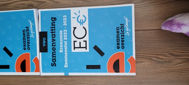 9789464380705-ExamenOverzicht--Samenvatting-Economie-VWO