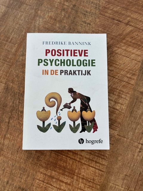 9789079729173-Positieve-psychologie-in-de-praktijk