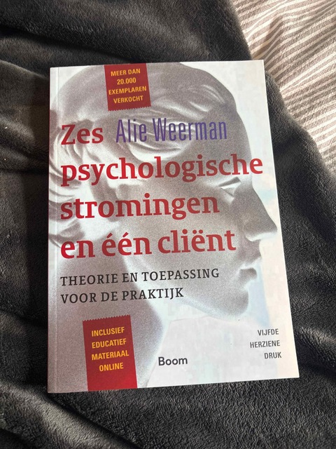 9789024402465-Zes-psychologische-stromingen-en-een-client