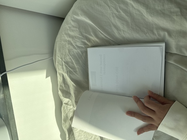 9789037254402-Sociaal-werk-1-