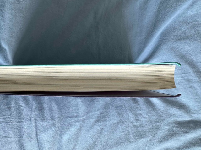 9789043033725-Ontwikkelingspsychologie