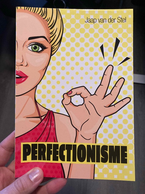 9789088508493-Perfectionisme