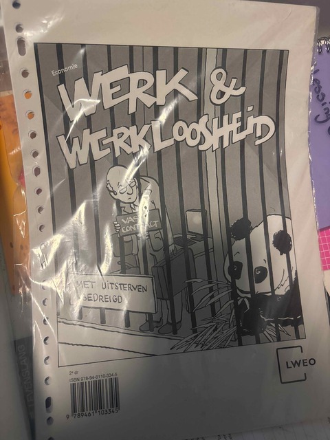 9789461103345-Werk-en-Werkloosheid-lesbrief-havo-bovenbouw