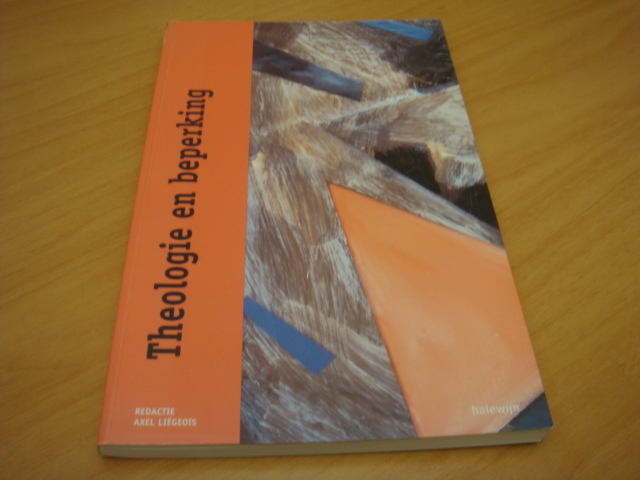 9789085282952-Theologie-en-beperking