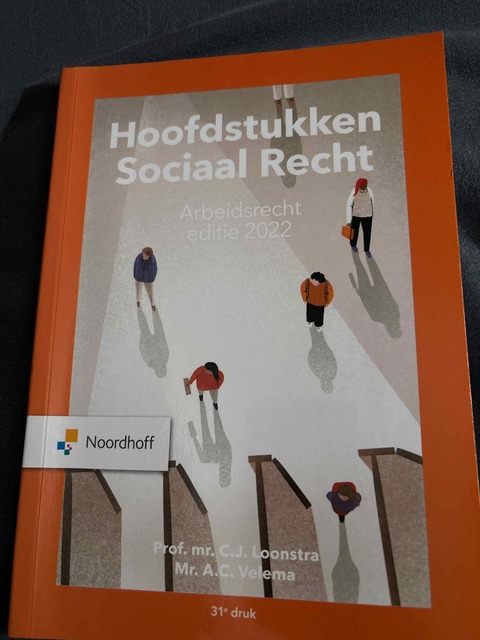 9789001299071-Hoofdstukken-sociaal-recht-2022