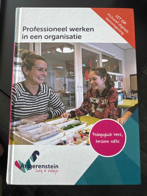 9789037264340-Professioneel-werken-in-een-organisatie
