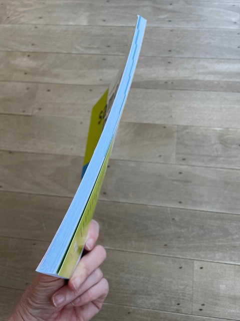 9789006372410-Samengevat-havo-Aardrijkskunde