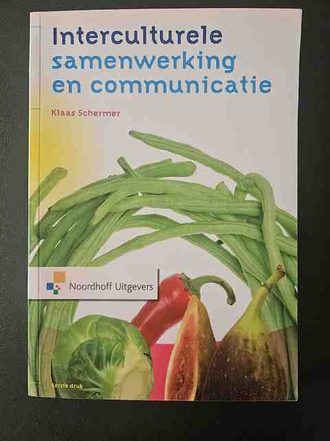 9789001500979-Interculturele-samenwerking-en-communicatie