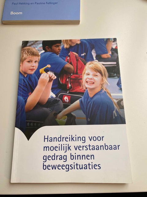 9789071902123-De-handreiking-voor-moeilijk-verstaanbaar-gedrag-binnen-beweegsi