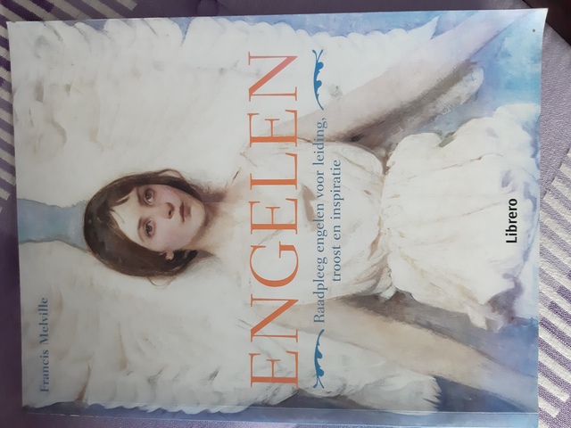 9789089986078-Engelen-raadpleeg-engelen-voor-leiding-troost-en-inspiratie