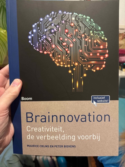 9789089539366-Brainnovation