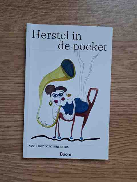9789024442393-Herstel-in-de-pocket