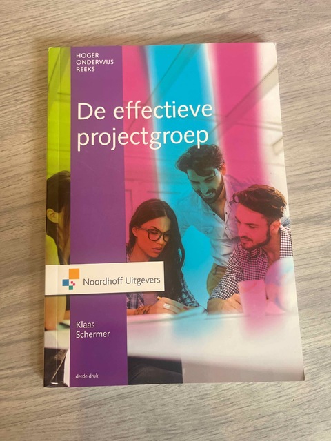 9789001866297-De-effectieve-projectgroep