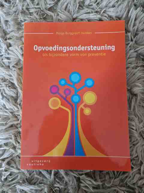 9789046907108-Opvoedingsondersteuning-als-bijzondere-vorm-van-preventie