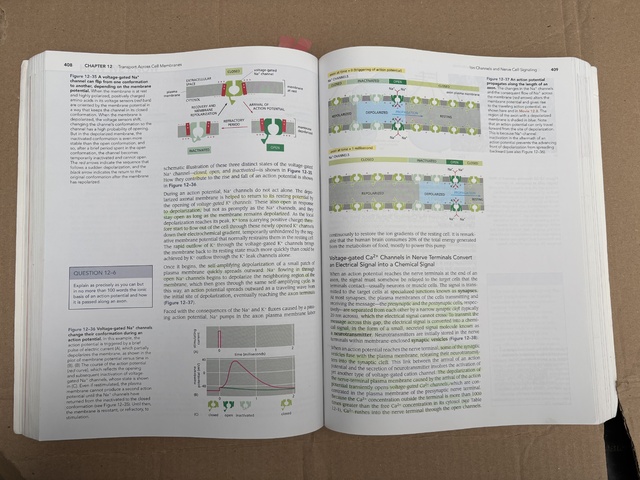 9780815344551-Essential-Cell-Biology