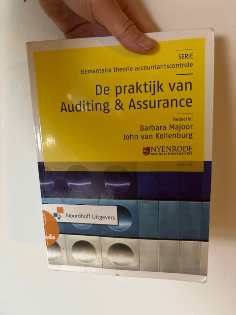 9789001803216-De-praktijk-van-auditing-assurance