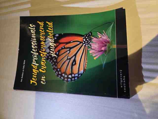 9789046905708-Jeugdprofessionals-en-transformerend-jeugdbeleid