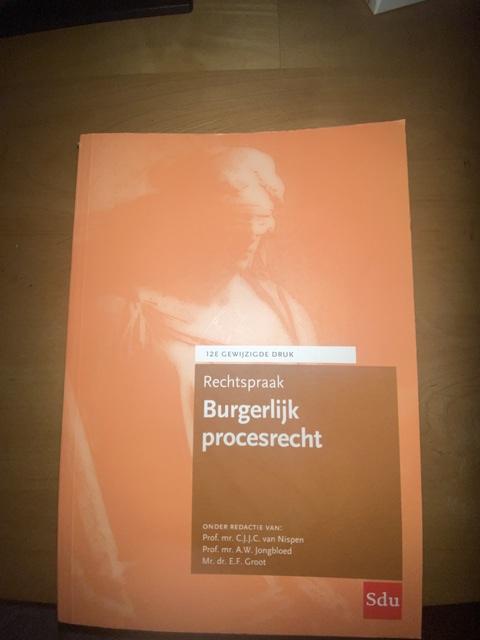 9789012409605-Rechtspraak-Burgerlijk-procesrecht
