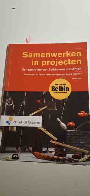 9789001850180-Samenwerken-in-projecten