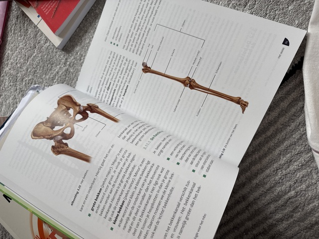 9789083181653-Anatomie-en-fysiologie-voor-het-mbo