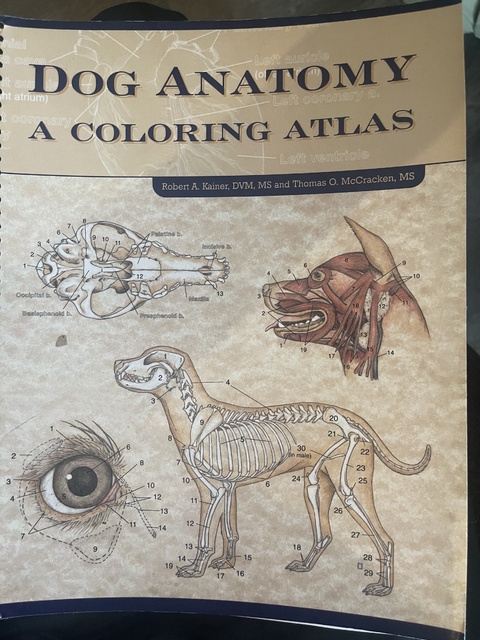 9781893441170-Dog-Anatomy