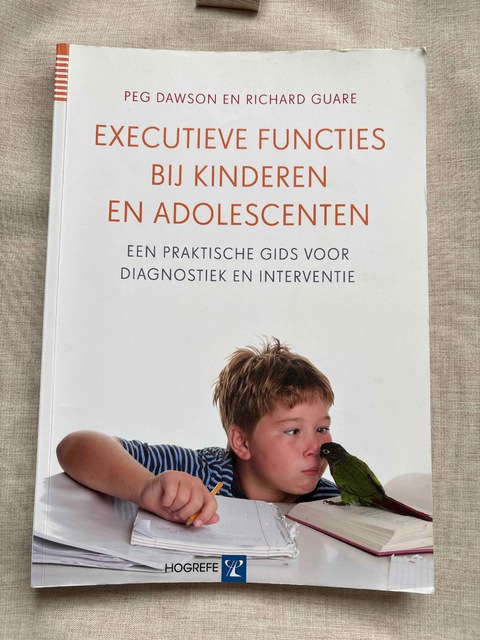9789079729197-Executieve-functies-bij-kinderen-en-adolescenten