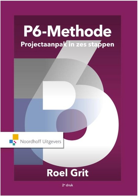 9789001868871-Projectaanpak-in-zes-stappen