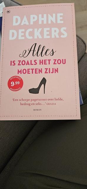9789044353983-Alles-is-zoals-het-zou-moeten-zijn