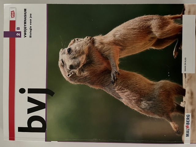 9789402043747-bvj-2-vwogymnasium-B-max