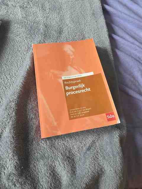 9789012402415-Rechtspraak-Burgerlijk-procesrecht