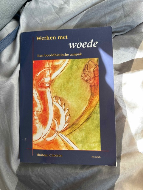 9789074815741-Werken-met-woede