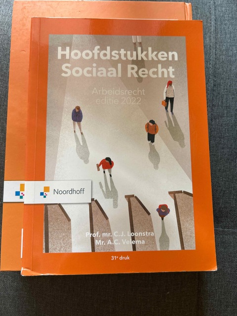 9789001299071-Hoofdstukken-sociaal-recht-2022