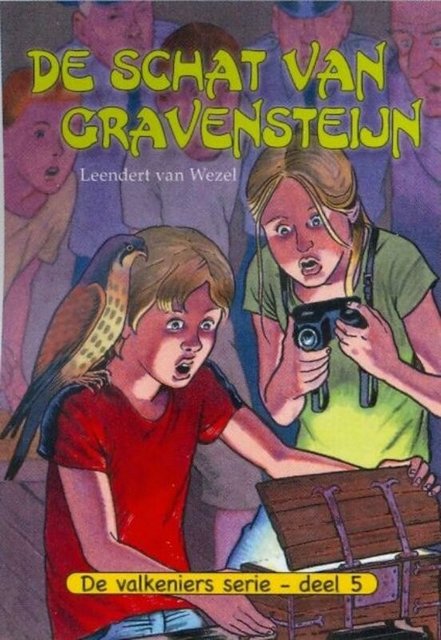 9789033609244-De-schat-van-Gravensteijn