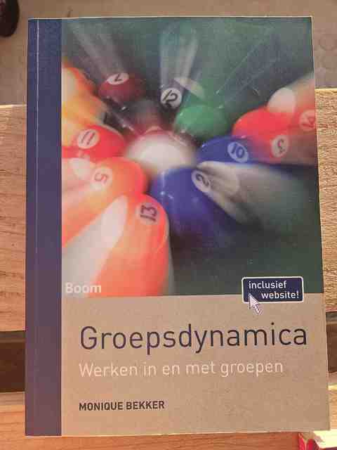 9789089539168-Groepsdynamica