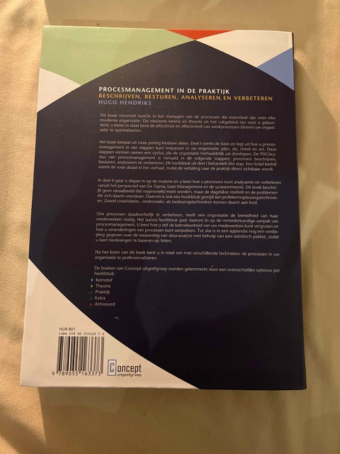9789055163373-Procesmanagement-in-de-praktijk
