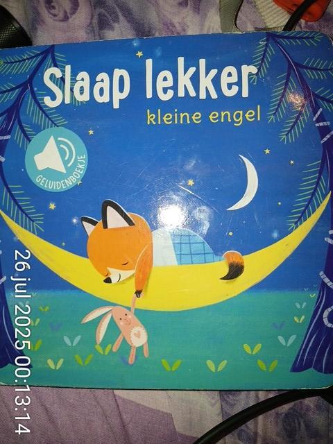 9789463994262-Slaap-lekker-kleine-Engel-geluidenboek