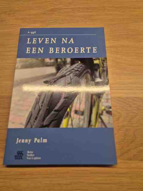 9789031342006-Leven-na-een-beroerte