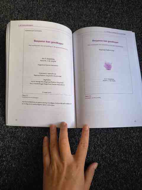 9789046903452-De-APA-richtlijnen