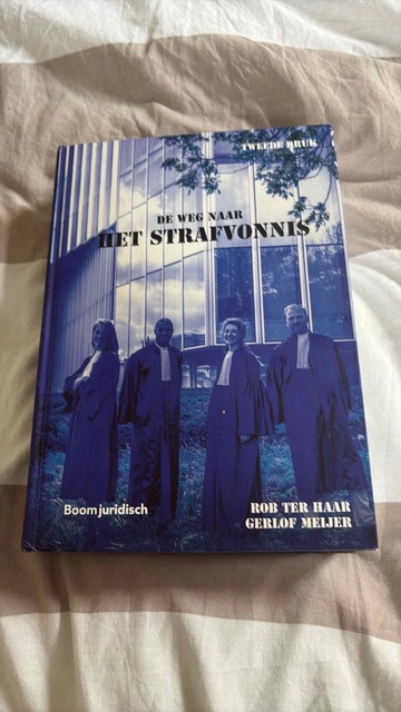 9789462904002-De-weg-naar-het-strafvonnis